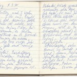 Eva Strittmatter, Tagebuch, 17. Dezember 1973 – 17. März 1974, Schulzenhof, Eintrag vom 4. März 1974; Akademie der Künste, Eva-Strittmatter-Archiv, Berlin