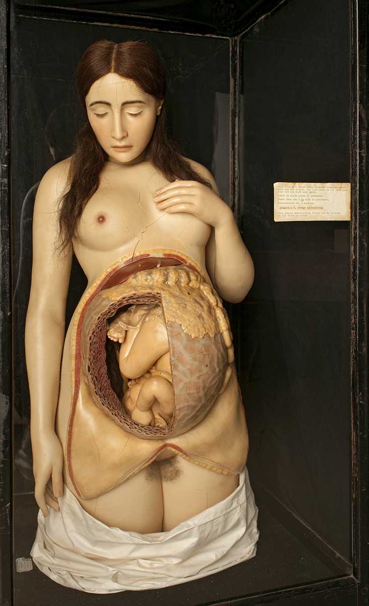 Wachsfigur einer Schwangeren im 9. Monat