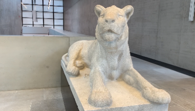 Liegender Löwe in der James Simon Galerie; Foto: Kulturstiftung der Länder