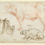 Zeichnung mit Büffel und Katze