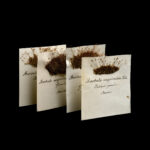 Papierblätter mit getrockneten Pflanzen und Schrift