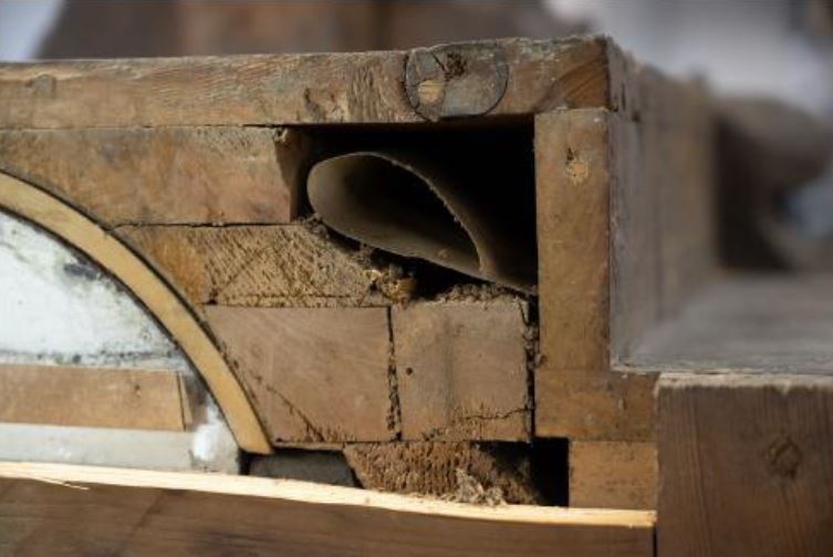 Bei der Restaurierung entdeckt: das Geheimfach im Braunschweiger Sammlungsschrank